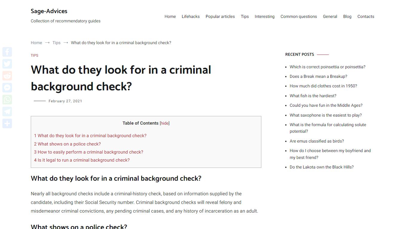 What do they look for in a criminal background check?